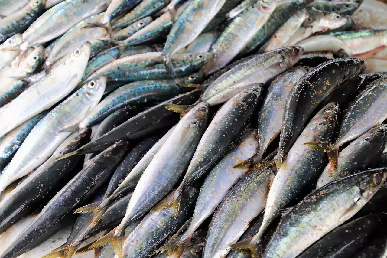 A dieta mediterrânea é uma dieta saudável para a longevidade